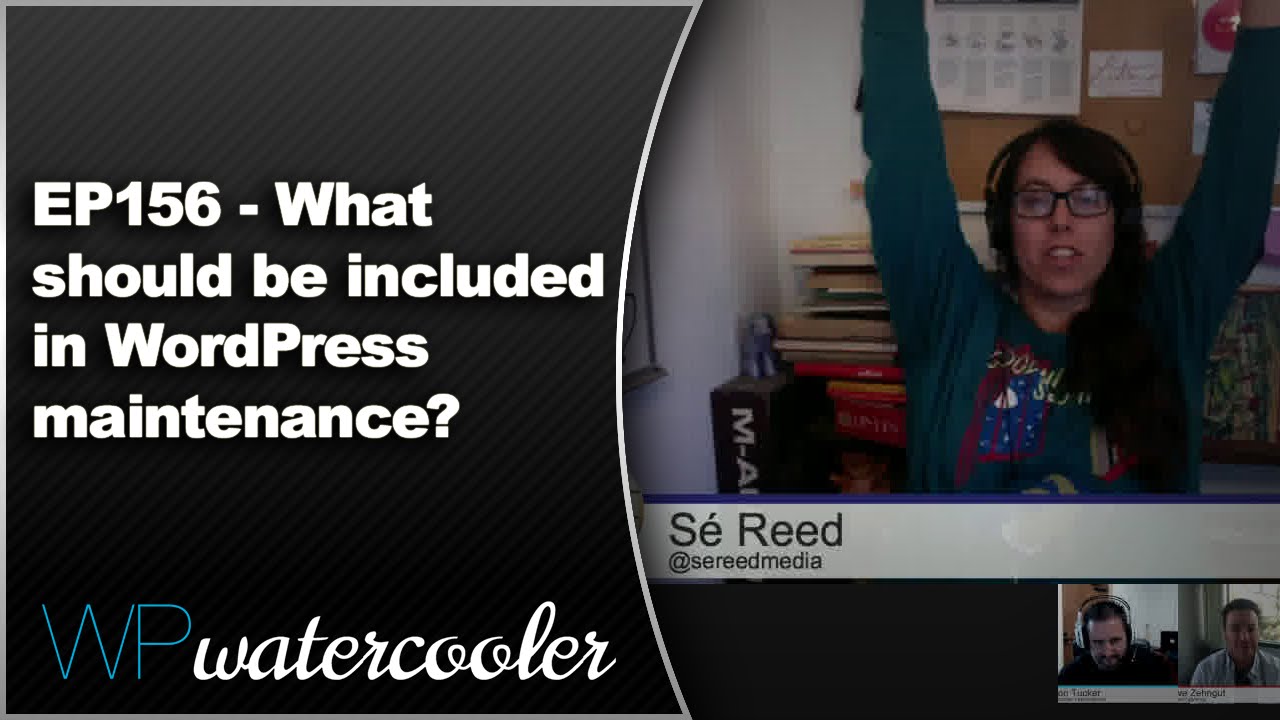 EP156 – What should be included in WordPress maintenance?