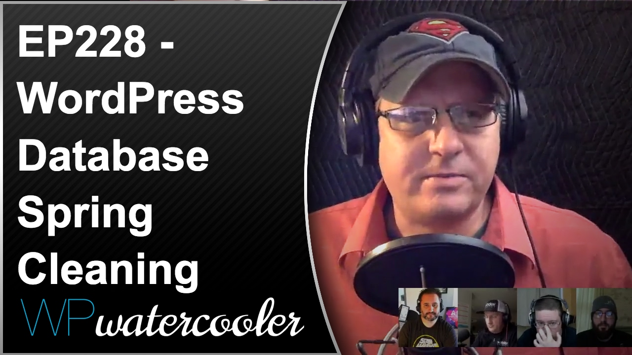 EP228 – WordPress Database Spring Cleaning